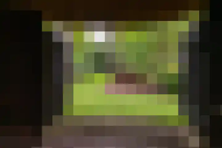 Langenbergerweg 5 Bathmen thumbnail 70