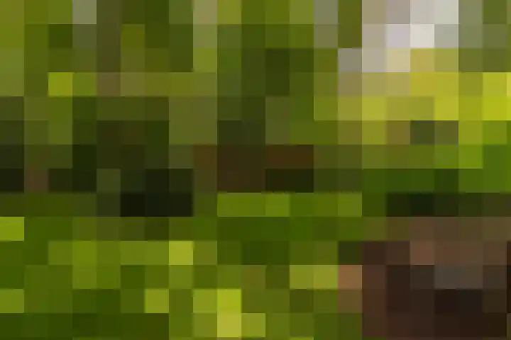 Langenbergerweg 5 Bathmen thumbnail 73