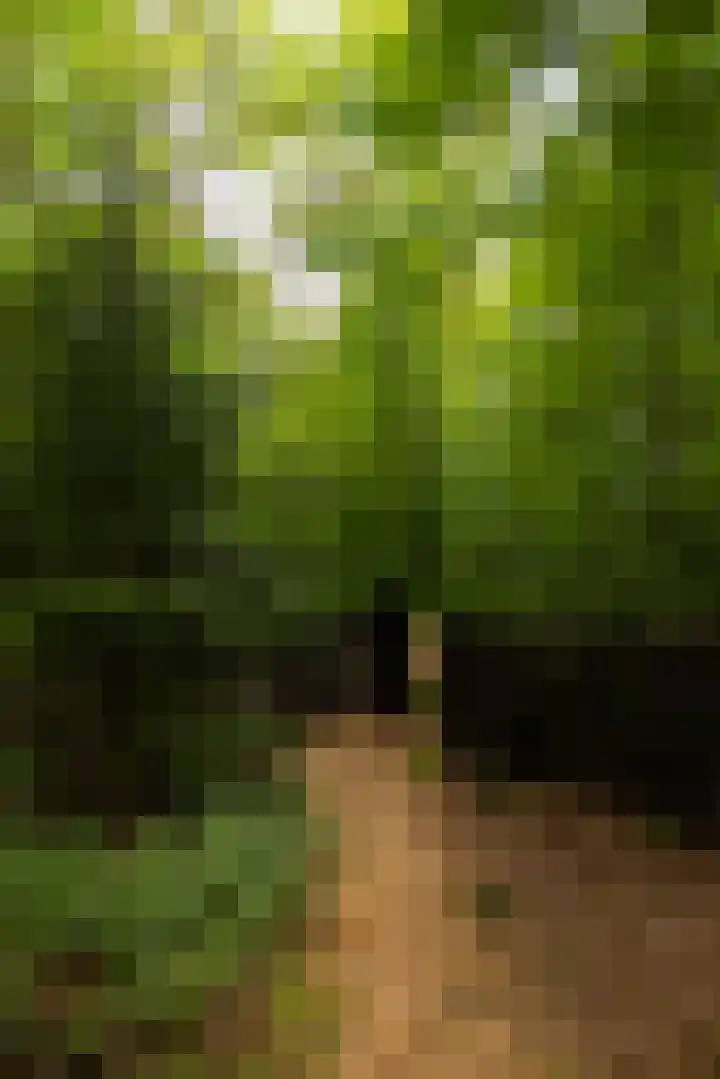 Langenbergerweg 5 Bathmen thumbnail 75