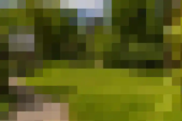 Langenbergerweg 5 Bathmen thumbnail 77