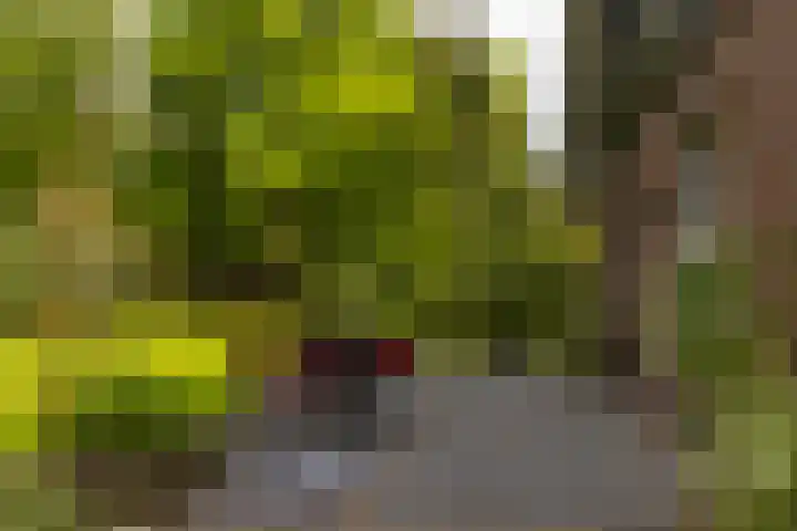 Langenbergerweg 5 Bathmen thumbnail 78