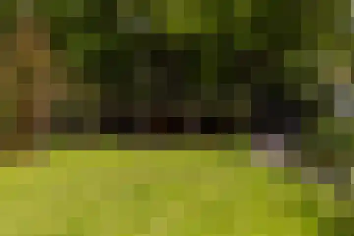 Langenbergerweg 5 Bathmen thumbnail 79