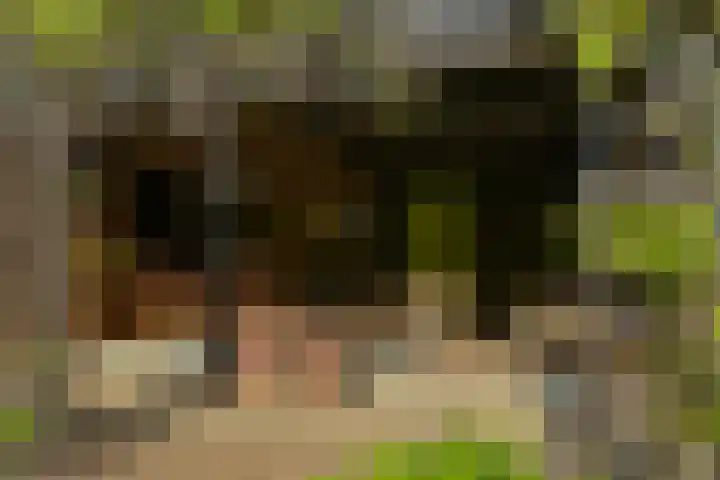 Langenbergerweg 5 Bathmen thumbnail 80