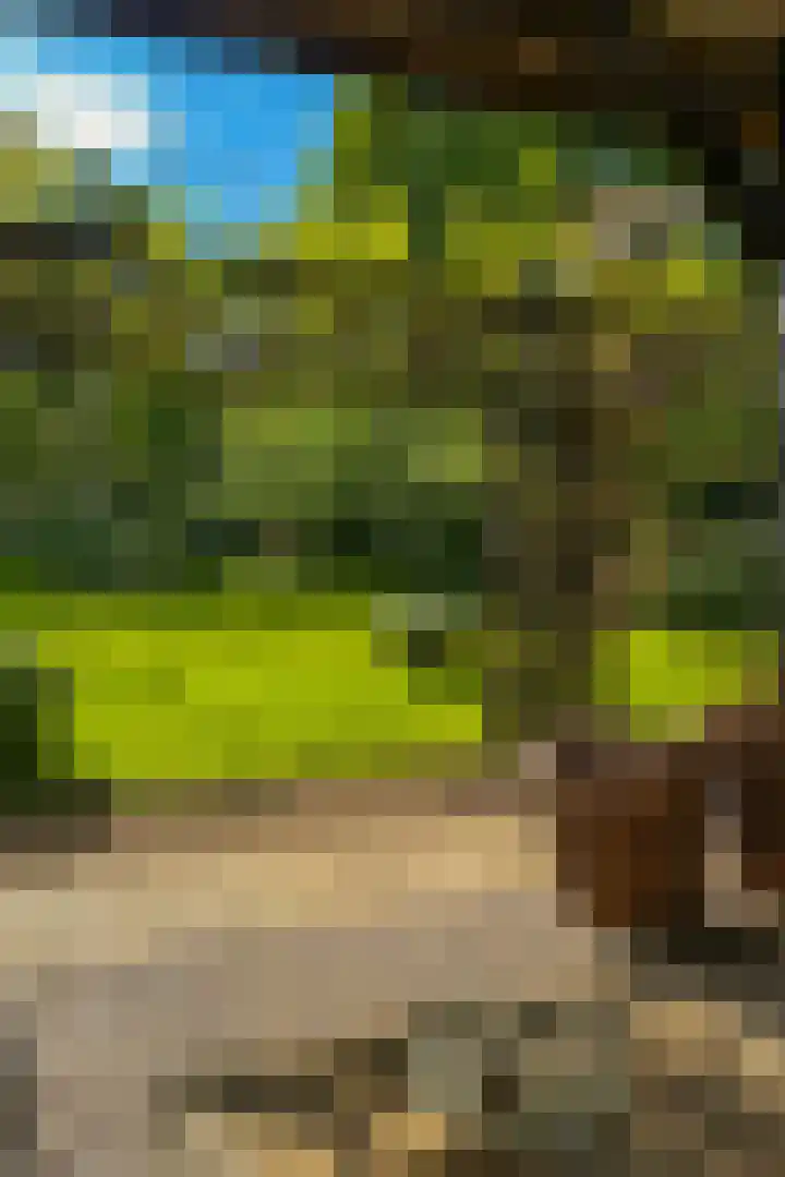 Langenbergerweg 5 Bathmen thumbnail 82