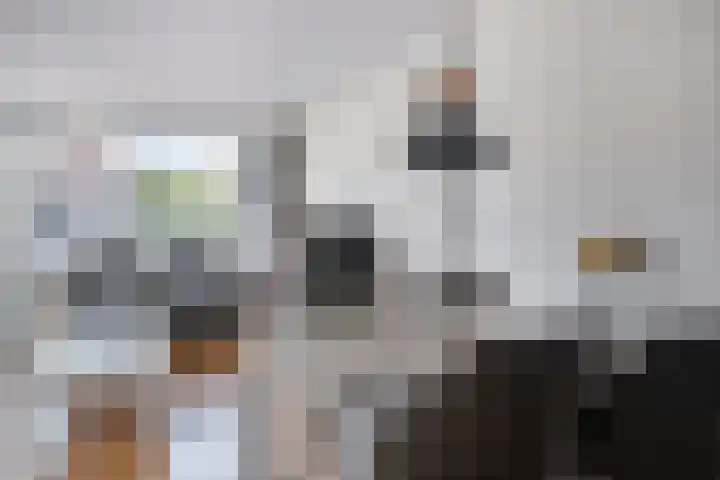 Langendam 25 Zoutelande thumbnail 10