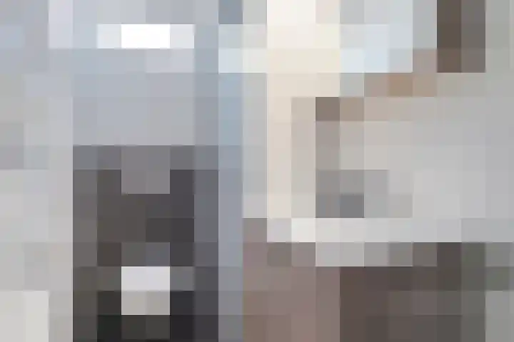 Langendam 25 Zoutelande thumbnail 14