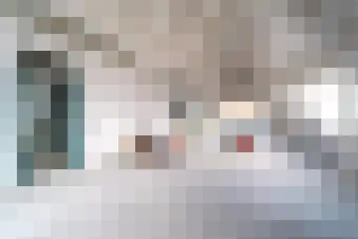 Langendam 31 Zoutelande thumbnail 6