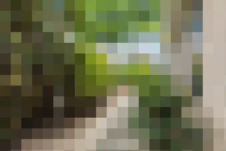 Langendijk 110 Tilburg thumbnail 38