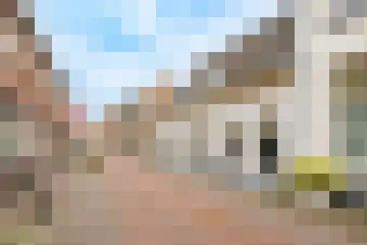 Langendijk 43 a Vianen thumbnail 38