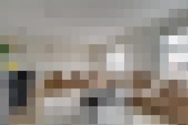 Langendijk 43 a Vianen thumbnail 9