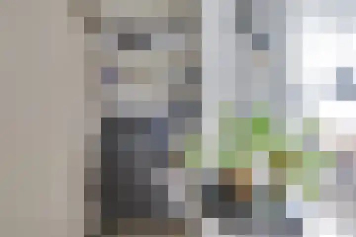 Langendijk 47 a Vianen thumbnail 25