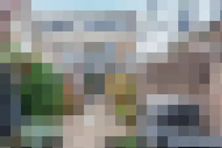 Langendijk 47 a Vianen thumbnail 47