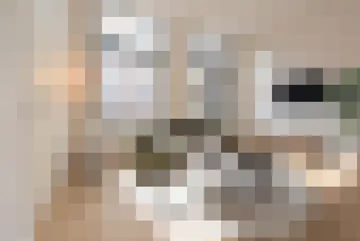 Langendijk 55 A Gorinchem