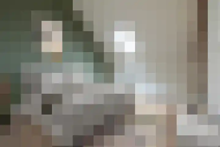 Langendijk 67 b Gorinchem foto 3