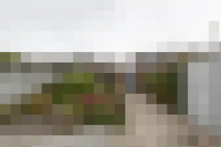 Langendijkstraat 7 Kaatsheuvel thumbnail 4