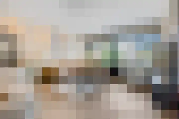 Langenhorst 25 Ede thumbnail 6