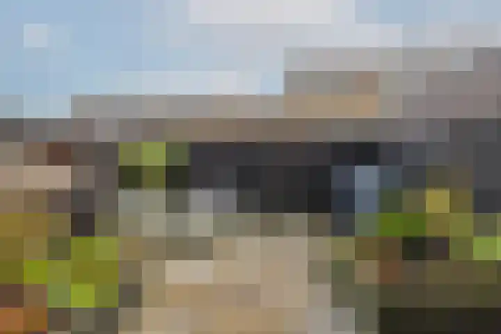 Langenhorst 26 C Rotterdam thumbnail 34