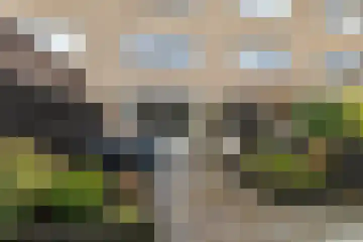 Langenhorst 26 C Rotterdam thumbnail 35