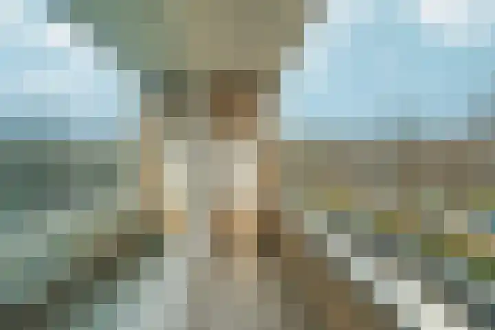 Langenhorst 273 Rotterdam thumbnail 20