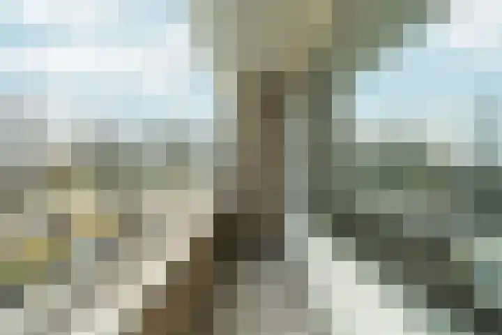 Langenhorst 273 Rotterdam thumbnail 21