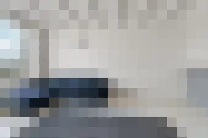 Langenhorst 273 Rotterdam thumbnail 6