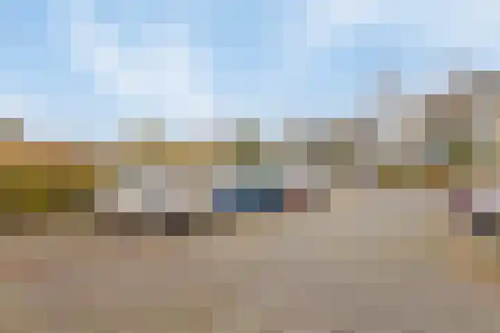 Langenhorst 273 Rotterdam thumbnail 9