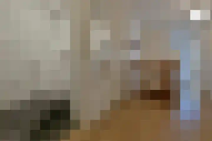 Langeraarseweg 82 A Ter Aar thumbnail 22