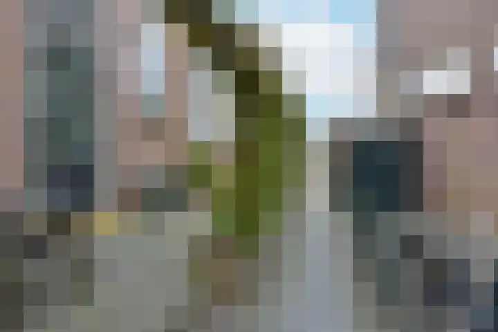 Langeraarseweg 82 A Ter Aar thumbnail 29
