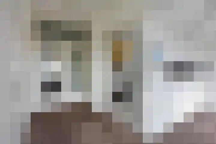 Langeraarseweg 82 A Ter Aar thumbnail 32