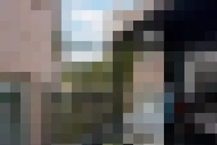 Langeraarseweg 82 A Ter Aar thumbnail 37
