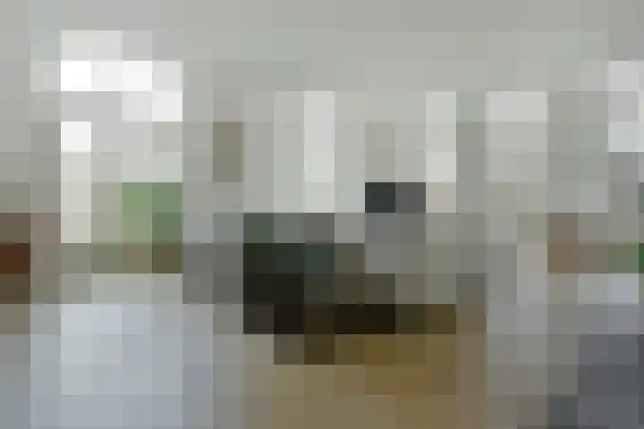 Langeraarseweg 82 A Ter Aar thumbnail 4