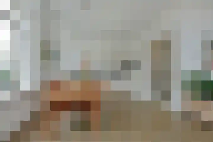 Langeraarseweg 82 A Ter Aar thumbnail 8