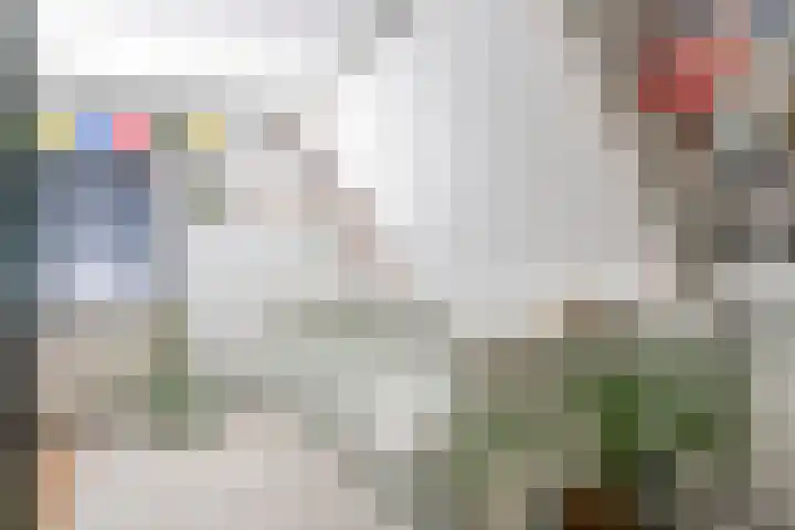 Langeslag 9 Heerde thumbnail 17