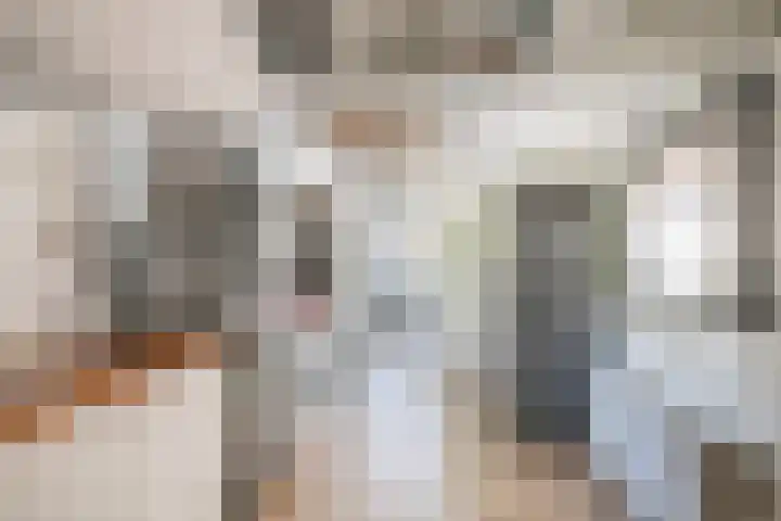 Langeslag 9 Heerde thumbnail 21