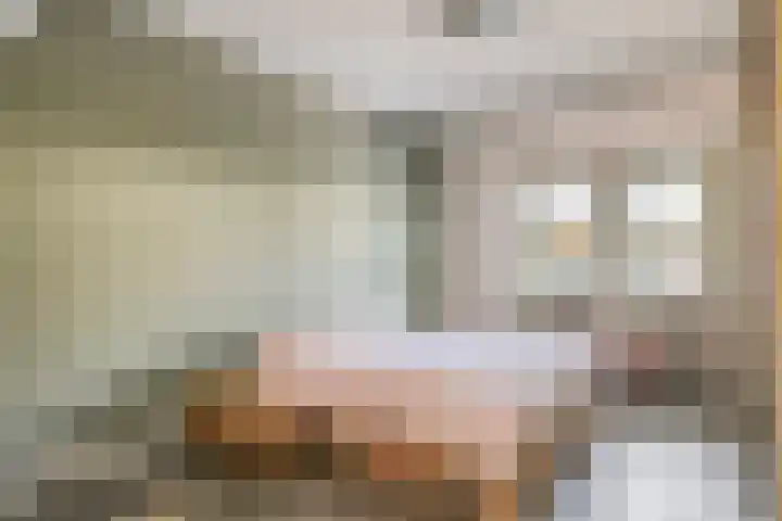 Langeslag 9 Heerde thumbnail 23
