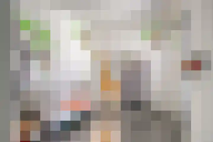 Langeslag 9 Heerde thumbnail 26