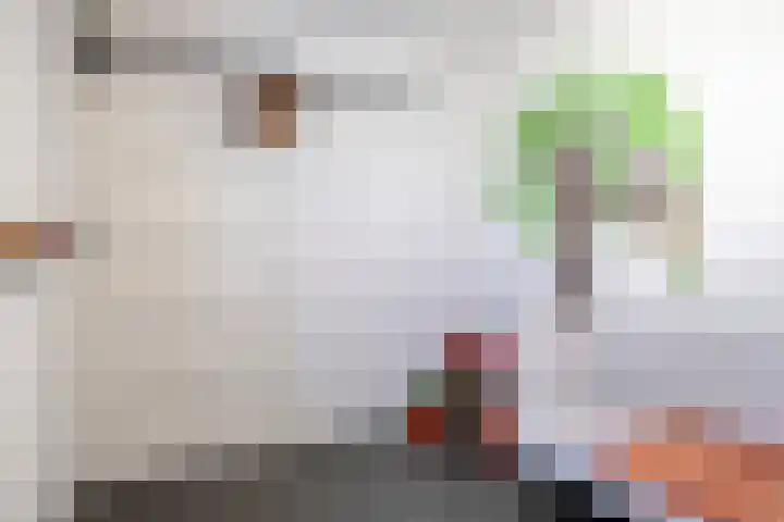 Langeslag 9 Heerde thumbnail 27