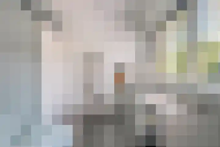 Langeslag 9 Heerde thumbnail 29