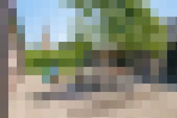 Langeslag 9 Heerde thumbnail 30