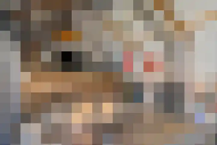 Langeslag 9 Heerde thumbnail 32