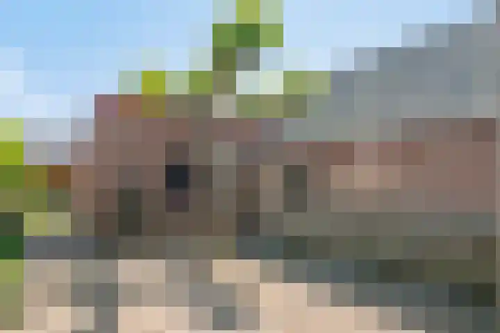 Langeslag 9 Heerde thumbnail 41