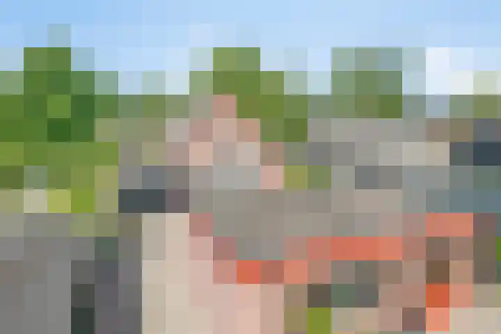 Langeslag 9 Heerde thumbnail 42