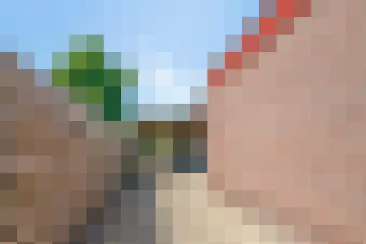 Langeslag 9 Heerde thumbnail 45