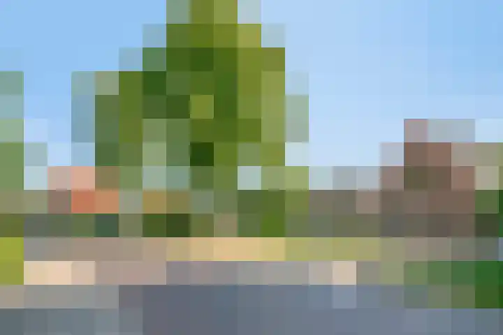 Langeslag 9 Heerde thumbnail 47