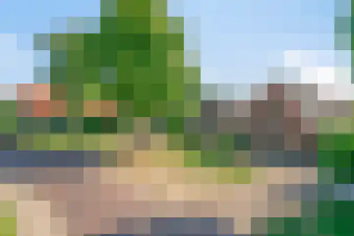 Langeslag 9 Heerde thumbnail 48