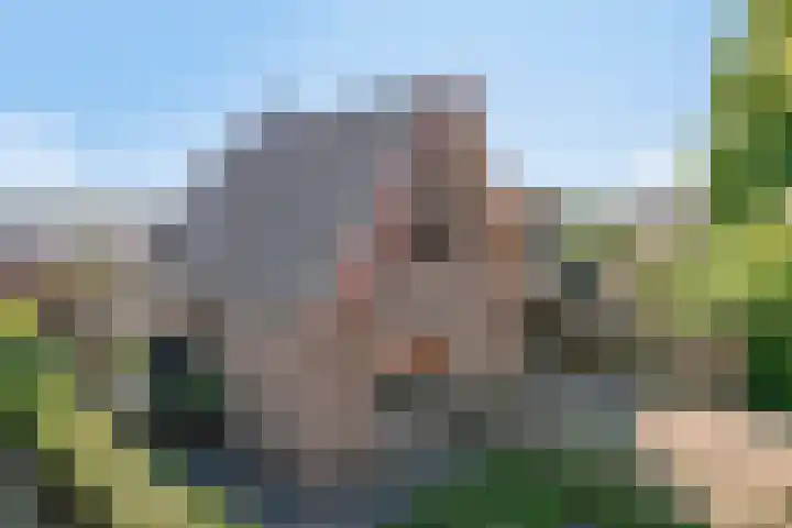 Langeslag 9 Heerde thumbnail 49