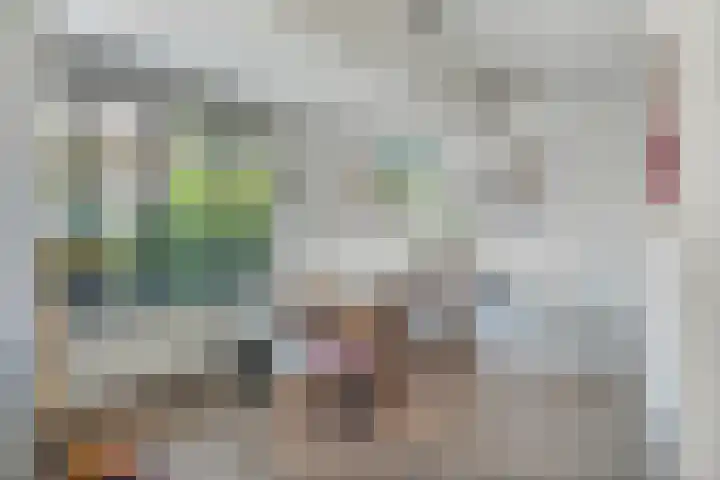 Langeslag 9 Heerde thumbnail 6