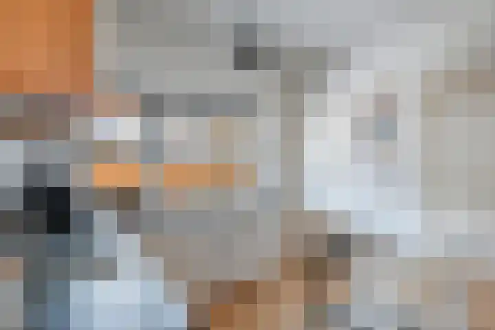 Langeslag 9 Heerde thumbnail 8