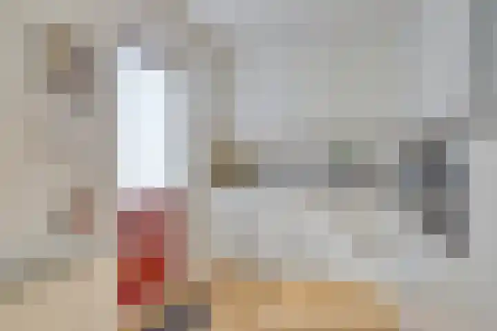 Langestede 77 in Den Haag