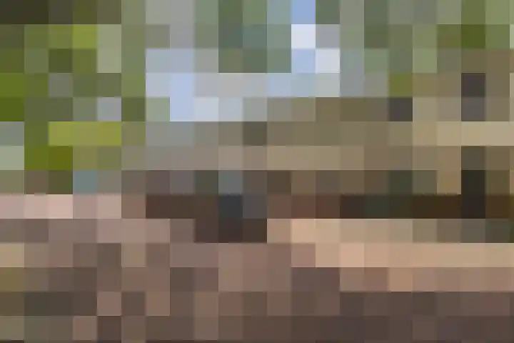 Langestede 77 Den Haag